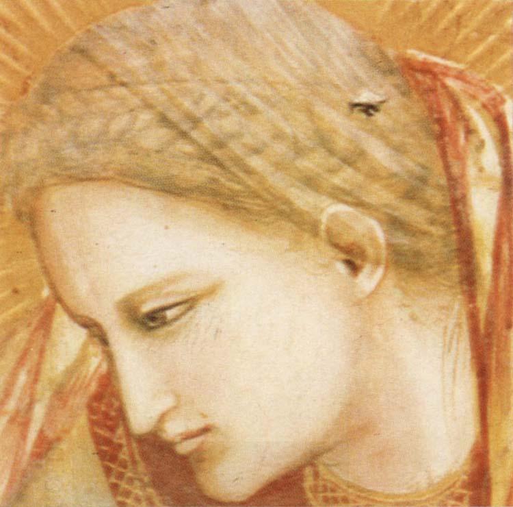 GIOTTO di Bondone Detail of Birth of Christ oil painting picture